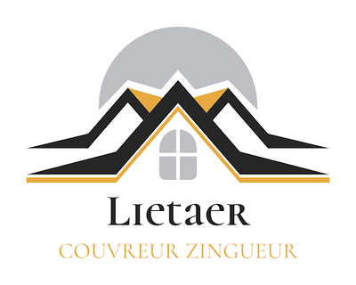 Lietaer Aymeric Couverture