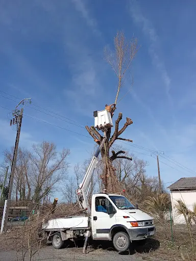 Jdp Pro Elagage