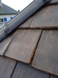 Nte