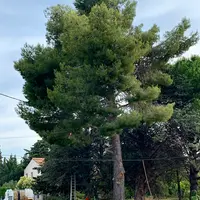 Sud Elagage Pagni