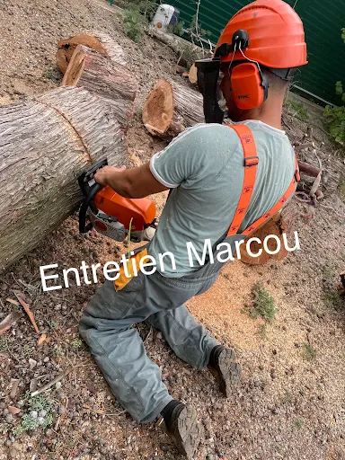 Élagueur Paysagiste Marcou