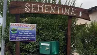 Sementine