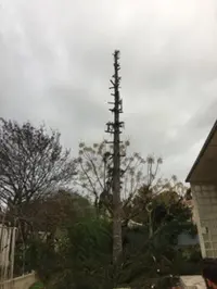 Élagage Dg Pertuis (élagage - Toutes Tailles - Abattage)