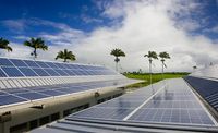 Amarenco Creole Energie