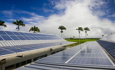 Amarenco Creole Energie