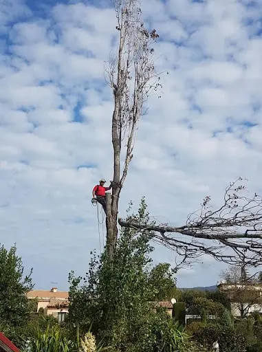 Flying Tree Worker / Arboriste Élagueur/ Jardinage