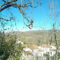 Vieille Branche Élagage
