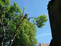 Arbres et Vous