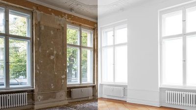 Renovision