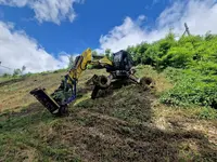 Arbo Environnement