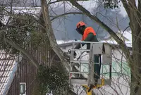 Siegler Espace Vert - Élagueur Paysagiste Élagage Abattage d'Arbres Entretien Haies Jardin 22 Côtes-d Armor Plancoët