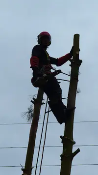 Gestin Environnement