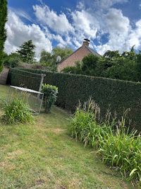 Ruelle Espace Vert
