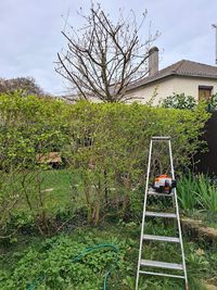 Capello Entretien de Jardin