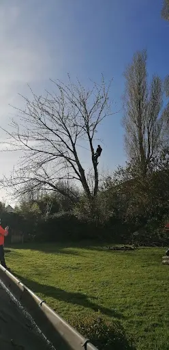 Nature Concept