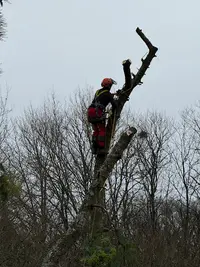 Sg Nature