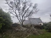 Le Calvé Élagage