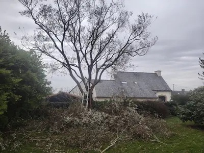 Le Calvé Élagage
