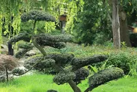 Marc Arboriste & Passionné D’espaces Verts