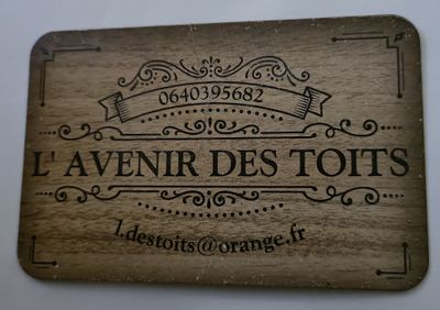 l'Avenir des Toits