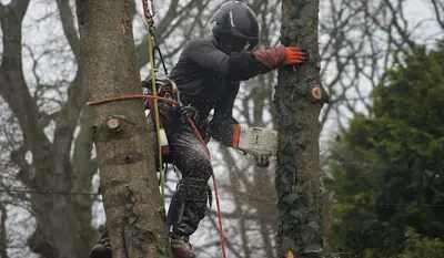 Arbowil