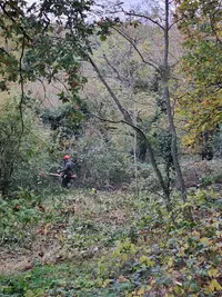 A.r. Euro Foret