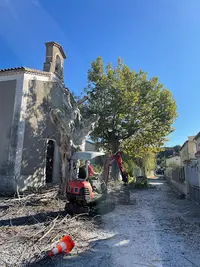 Entre Cévennes et Garrigues - Elagage, Travaux Forestier et Bois de Chauffage