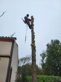 l'Air des Cimes