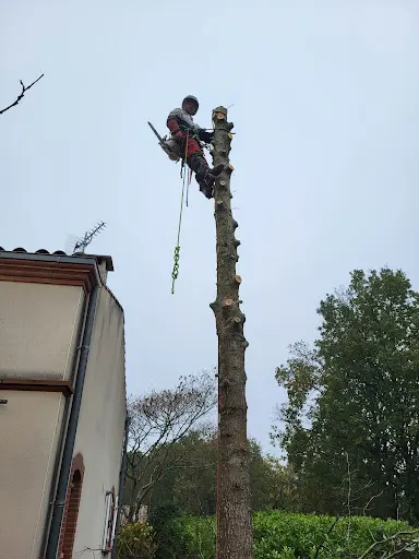 l'Air des Cimes