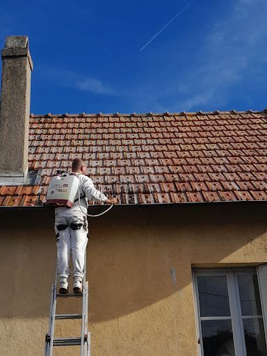 Vigeral Batiment Riom ( Peintre-couvreur-facadier )