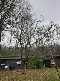Entreprise Lj Élagage Abattage d'Arbres Dans Île-de-france