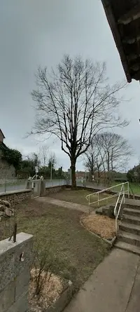 Elag’arbre