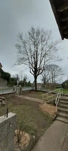 Elag’arbre