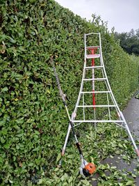 Jerome Choux Espaces Verts