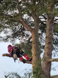 Cimes Accès