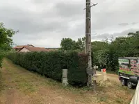 Elvis Élagages