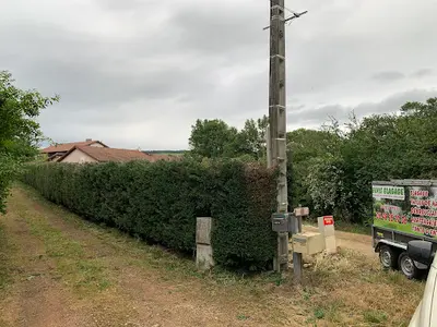 Elvis Élagages