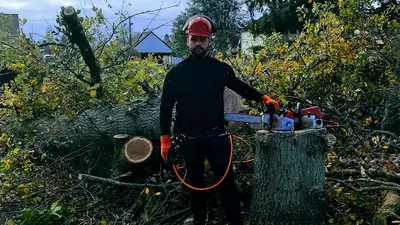 Ent Jean Élagage Espace Vert Élagage Abattage D’arbre Dangereux