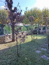 Daridan Espaces Verts