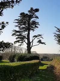 Hêtre Nature, Nature et Bouts de Ficelle