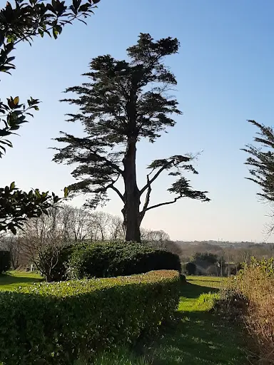 Hêtre Nature , Nature et Bouts de Ficelle