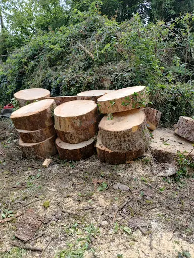 Hugo Marchal Arboriste Grimpeur