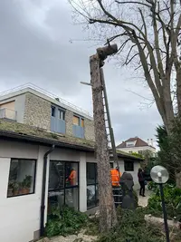 Lagréné Elagage