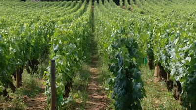 Crea Combles