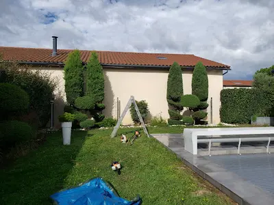 Youri Entretien et Élagage