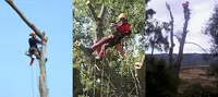 Naturclimb