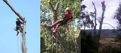 Naturclimb