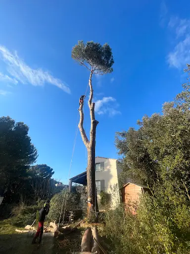 Pms Élagage - Salon de Provence