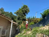 Les Elagueur Gersois