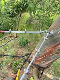 Arbor É Tom